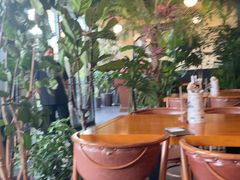 -普兰达德国餐厅·德式脆皮烤猪肘·自酿啤酒(观唐店)