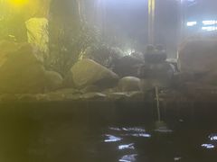 -宜春明月山维景国际温泉度假酒店