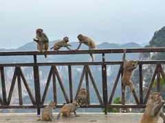 -重庆云阳龙缸景区