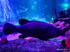 -沈阳海洋探索中心