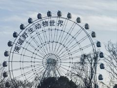 -淹城春秋乐园