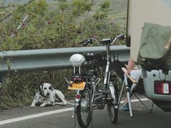 -四明山国家森林公园