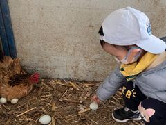 -甜心庄园·甜心草莓采摘园(西青中北店)