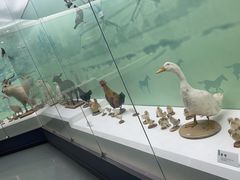 -国家自然博物馆