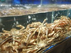 -徐记海鲜(观沙岭|滨江新城店)