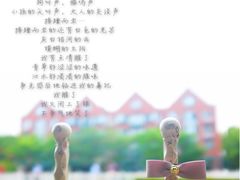 -星光摄影器材城