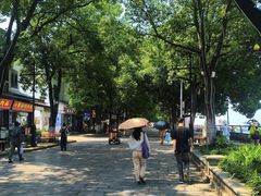 -巢湖姥山岛