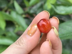 -樱桃山旅游景区