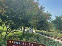 -西海子公园