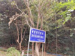 -广州市白云山风景名胜区