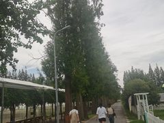 -上海长兴岛郊野公园