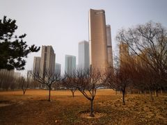 -大望京公园