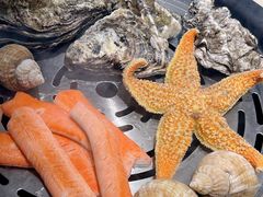 -蓝珊甄选海鲜自助·火锅大排档(近阿那亚店)