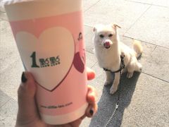 -1点点(万达茂店)