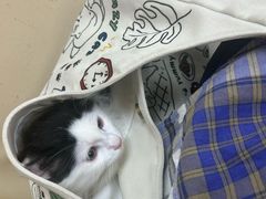 -宠颐生中康贝怡动物医院
