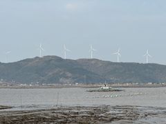 -花岙岛