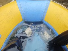 -楠溪江石桅岩