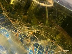 -蚝美人·生蚝海鲜烧烤(茶花园店)