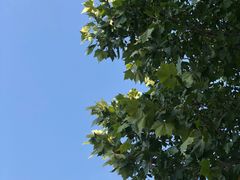 -北京市朝阳区四得公园-羽毛球馆
