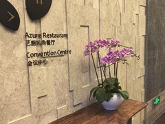 -艺厨风尚餐厅 · 桔钓沙莱华度假酒店