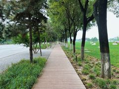 -汉长安城未央宫国家考古遗址公园