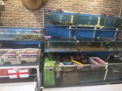 -百年银屏蚝烙·潮汕菜·非遗(乐山店)