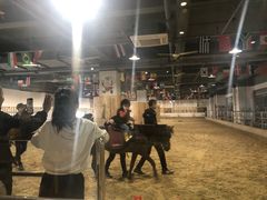 -李振强马术运动推广中心(南城店)