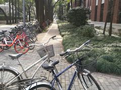 -复旦大学光华楼