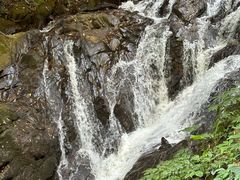 -莫里热带雨林景区