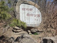 -白水寺森林公园