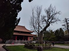 -苏州碑刻博物馆