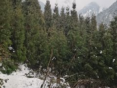 -九峰山