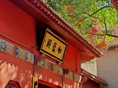-深圳仙湖植物园
