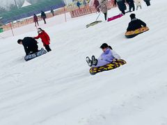 -绿野森林乐园冰雪季