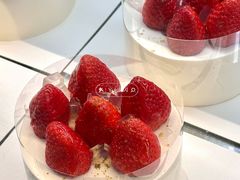 -喜茶(深圳欢乐海岸LAB店)