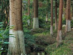 -成都市活水公园