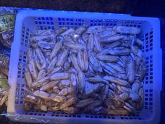 -鸽子侯·家宴·平价海鲜(绿地店)