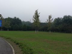 -永定河休闲森林公园