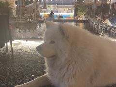 -DGE季风钓虾营地·团建·聚会