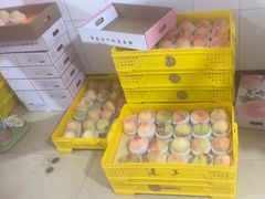 -老袁家蜜桃农场·阳山水蜜桃