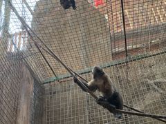 -长鹿旅游休博园