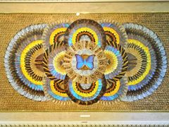 -上海昆虫博物馆