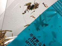 -上海中医药大学附属曙光医院(东部)