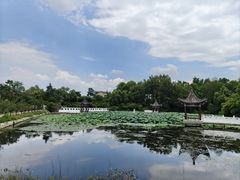 -青龙山国家森林公园