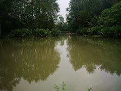 -桤木河湿地公园