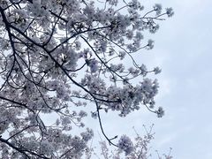 -贡湖湾湿地公园