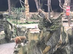 -木兰云雾山