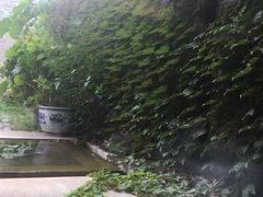 -维也纳国际酒店·西安大雁塔大唐不夜城店