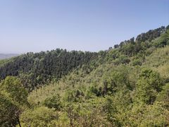 -敬亭山风景名胜区