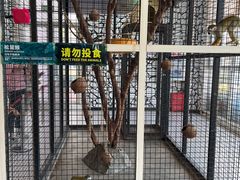 -海合安武汉极地海洋公园
